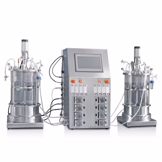 Acetobacter Xylinum Filamentous Bacteria Membrane Bioreactor Keg Fermentor