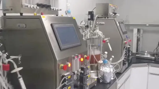 Acetobacter Xylinum Filamentous Bacteria Membrane Bioreactor Keg Fermentor