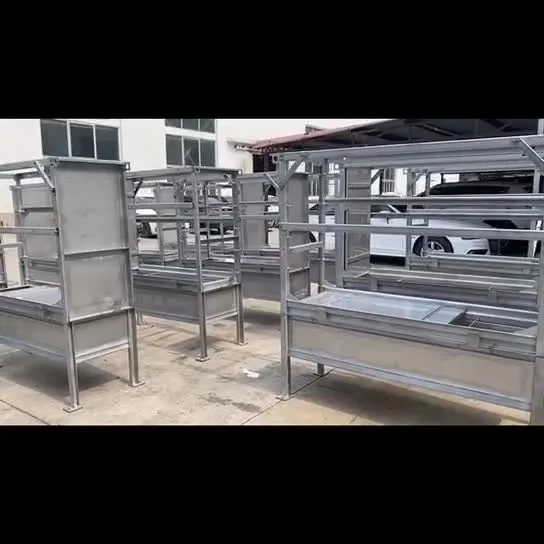 Sewage Treatment Plant Mbr Membrane Bioreactor for Hospital Wastewater Treatment, PVDF Membrane Material